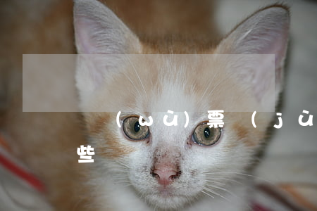稅務(wù)票據(jù)粘貼的要求有哪些