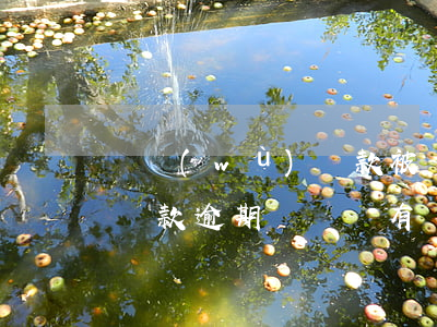 稅務(wù)罰款被鎖定逾期沒交會怎么樣(稅款逾期繳納會有處罰嗎)