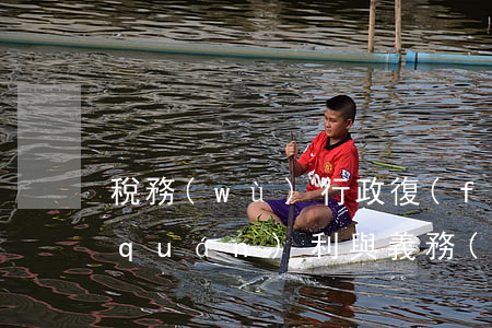 稅務(wù)行政復(fù)議參加人權(quán)利與義務(wù)