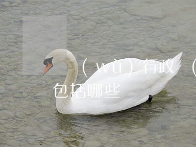 稅務(wù)行政復(fù)議審理的程序包括哪些