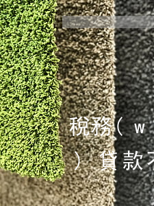 稅務(wù)貸款還不起本金-稅務(wù)貸款不還有什么后果