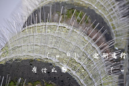 稅務(wù)貸逾期建行對(duì)法人有什么影響-稅務(wù)貸逾期建行對(duì)法人有什么影響嗎