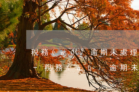 稅務(wù)逾期未處理完影響下月報稅嗎-稅務(wù)逾期未申報怎么處罰
