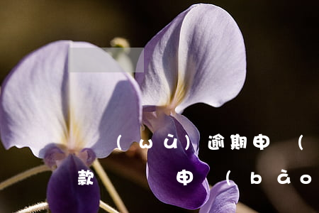 稅務(wù)逾期申報(bào)一定要罰款嗎 納稅申報(bào)逾期罰款多少