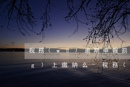 稅務(wù)逾期申報罰款可以網(wǎng)上繳納么-稅務(wù)逾期申報罰款可以網(wǎng)上繳納么嗎
