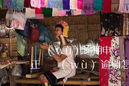 稅務(wù)逾期申報責(zé)令限期改正（稅務(wù)逾期怎么申報）