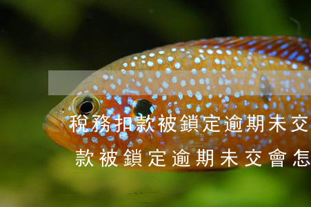 稅務扣款被鎖定逾期未交會怎么樣-稅務扣款被鎖定逾期未交會怎么樣處理