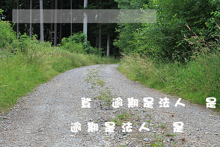 稅務登記逾期是法人還是財務責任-稅務登記逾期是法人還是財務責任人