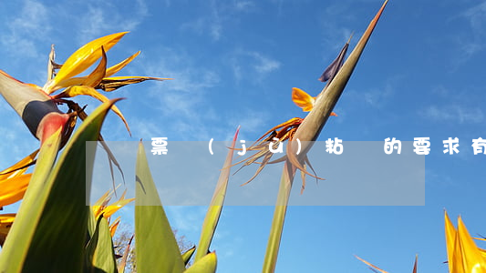 稅務票據(jù)粘貼的要求有哪些