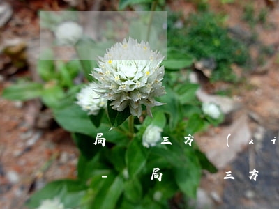 稅局簽訂三方協(xié)議沒簽訂算逾期嗎-稅局簽訂三方協(xié)議沒簽訂算逾期嗎怎么辦