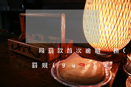 稅局罰款首次逾期(稅務(wù)首次逾期處罰規(guī)定)