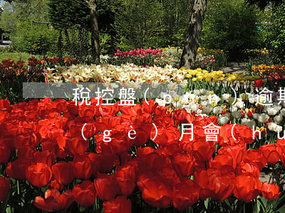 稅控盤(pán)逾期抄報(bào)一個(gè)月會(huì)有罰款嗎-稅控盤(pán)逾期抄報(bào)一個(gè)月會(huì)有罰款嗎怎么辦