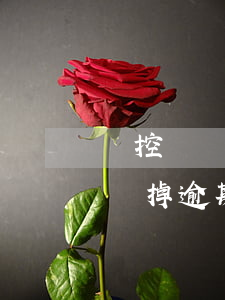 稅控盤壞掉逾期沒反寫有什么后果-稅控盤壞掉逾期沒反寫有什么后果嘛
