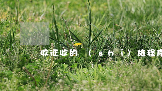 稅收征收的實(shí)施程序
