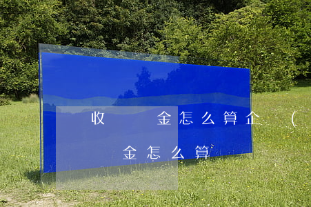 稅收滯納金怎么算(企業(yè)所得稅稅收滯納金怎么算)