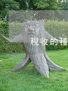 稅收的種類有哪些（對所得額的征稅）