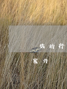 稅收的行政訴訟規(guī)定是什么（稅收案件訴訟費(fèi)用包括什么）
