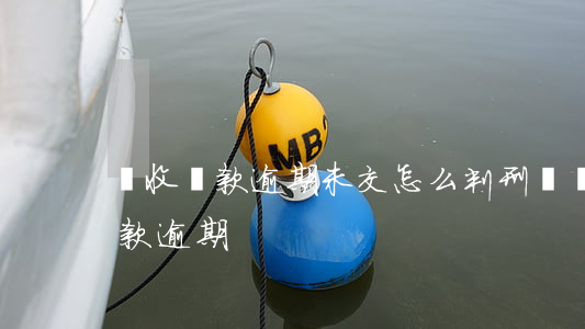 稅收罰款逾期未交怎么判刑(稅務(wù)罰款逾期)