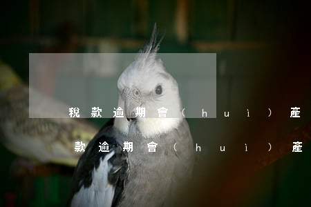 稅款逾期會(huì)產(chǎn)生(稅款逾期會(huì)產(chǎn)生滯納金嗎)