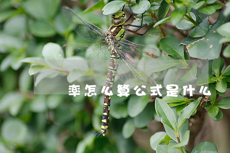 稅率怎么算公式是什么