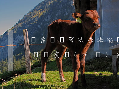 稅票糾紛可以去法院處理嗎(給法院交的訴訟費沒有發(fā)票怎么入賬)