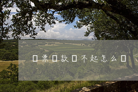 稅票貸款還不起怎么辦