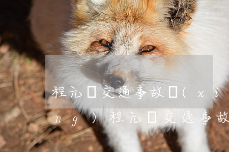程元東交通事故現(xiàn)場(chǎng)(程元東交通事故現(xiàn)場(chǎng))