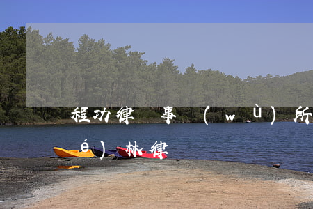 程功律師事務(wù)所怎么樣(程學(xué)林律師)