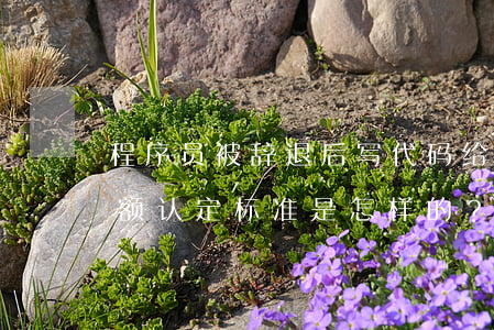 程序员被辞退后写代码给自己转账 盗窃罪数额认定标准是怎样的？
