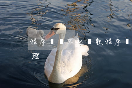 程序員還不起貸款(程序員還不起貸款怎么處理)