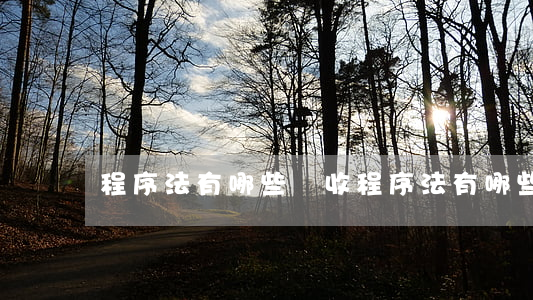 程序法有哪些(稅收程序法有哪些)