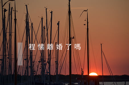 程愫離婚了嗎
