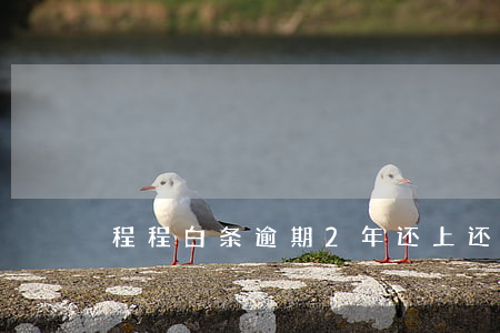 程程白条逾期2年还上还能用吗