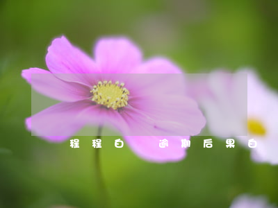程程白條逾期后果(白條逾期過(guò))