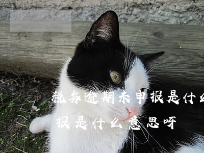 税务逾期未申报是什么意思-税务逾期未申报是什么意思呀