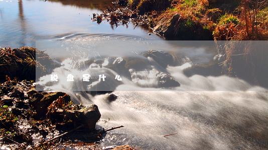 税盘是什么