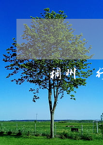 稠州銀行貸款本金逾期(稠州銀行抵押貸款)
