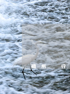 稠州銀行貸款逾期利率(稠州銀行抵押貸款)