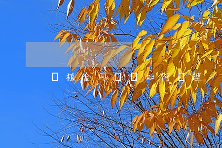 種植合同糾紛如何處理