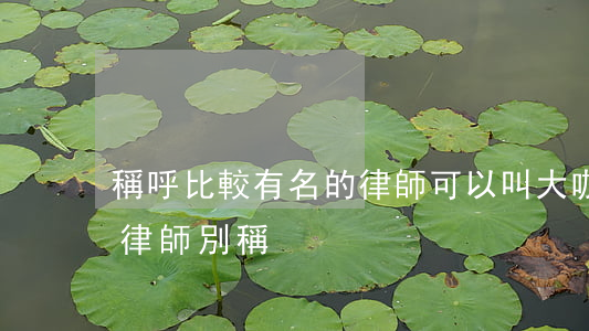 稱呼比較有名的律師可以叫大咖嗎(很厲害的律師別稱)