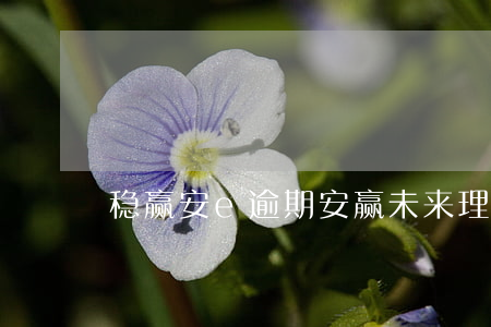 稳赢安e逾期(安赢未来理财)