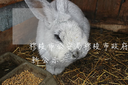 穆棱市公安局(穆棱市政府網(wǎng)最新公示)