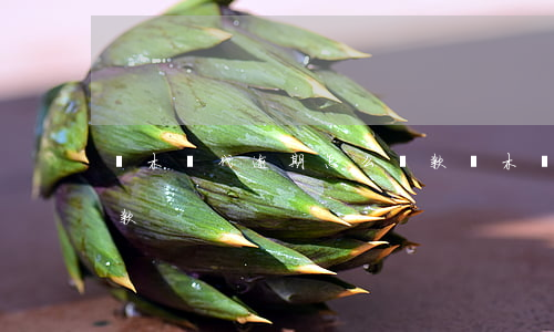 積木時代逾期怎么還款(積木時代逾期怎么還款)