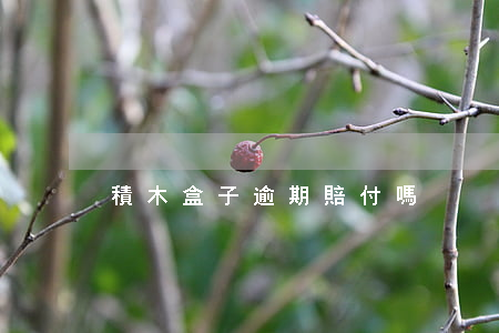 積木盒子逾期賠付嗎