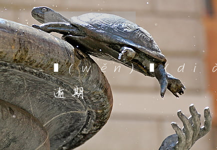 穩(wěn)點(diǎn)花app貸款逾期