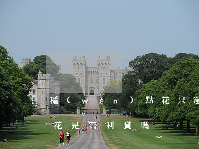 穩(wěn)點花只還本金(穩(wěn)點花是高利貸嗎)