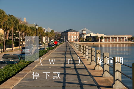 穩(wěn)點花逾期(穩(wěn)點花暫停下款)