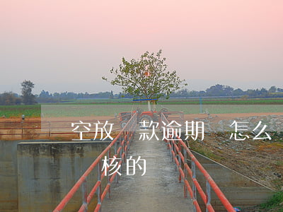 空放貸款逾期會怎么樣(空放貸款他們是怎么審核的)