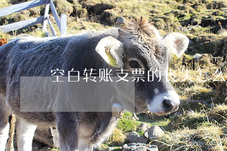 空白转账支票的丧失怎么补救