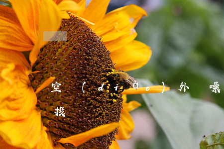 空調(diào)外機噪音大影響休息可以投訴嗎